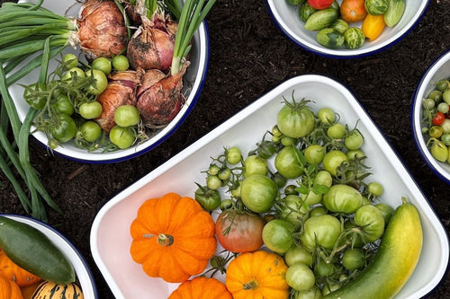 Chef Pippa : Seasonal Squash Fritters.